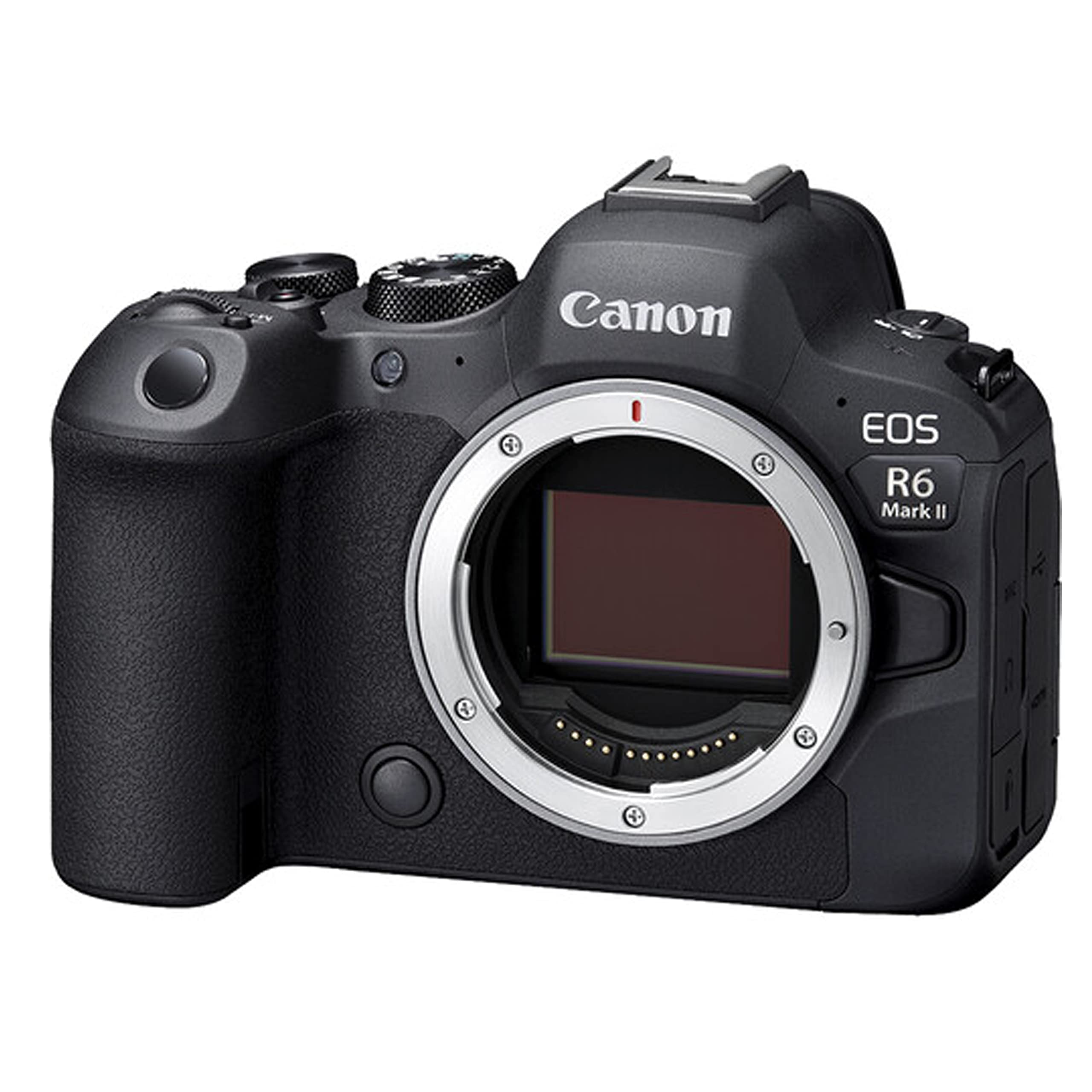Amazon.com : Canon EOS R6 Mark II Mirrorless Digital Camera with